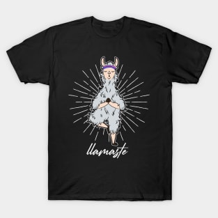 Yoga Design Lama Namaste T-Shirt